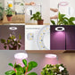 Lampe de Croissance LED à Spectre Complet pour Plantes – Éclairage Intelligent pour Jardin d’Intérieur