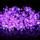 Guirlande Fleur LED Violette – Lumière Décorative Romantique pour Soirée, Mariage et Ambiance Cocooning