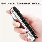 Harmonica Professionnel 10 Trous