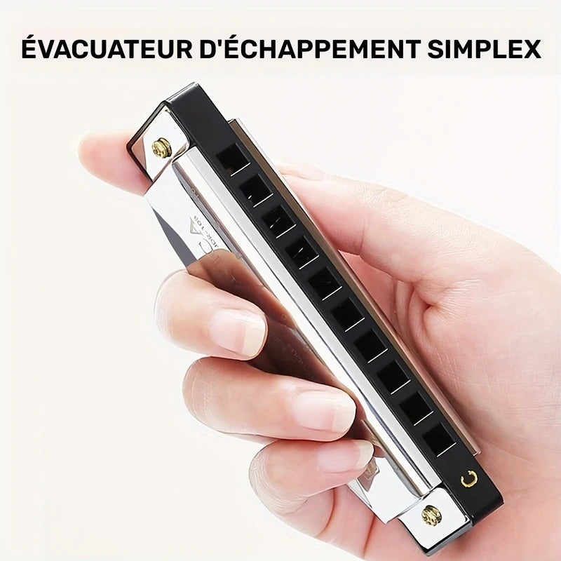 Harmonica Professionnel 10 Trous – Instrument de Musique Portable pour Débutants et Musiciens Confirmés