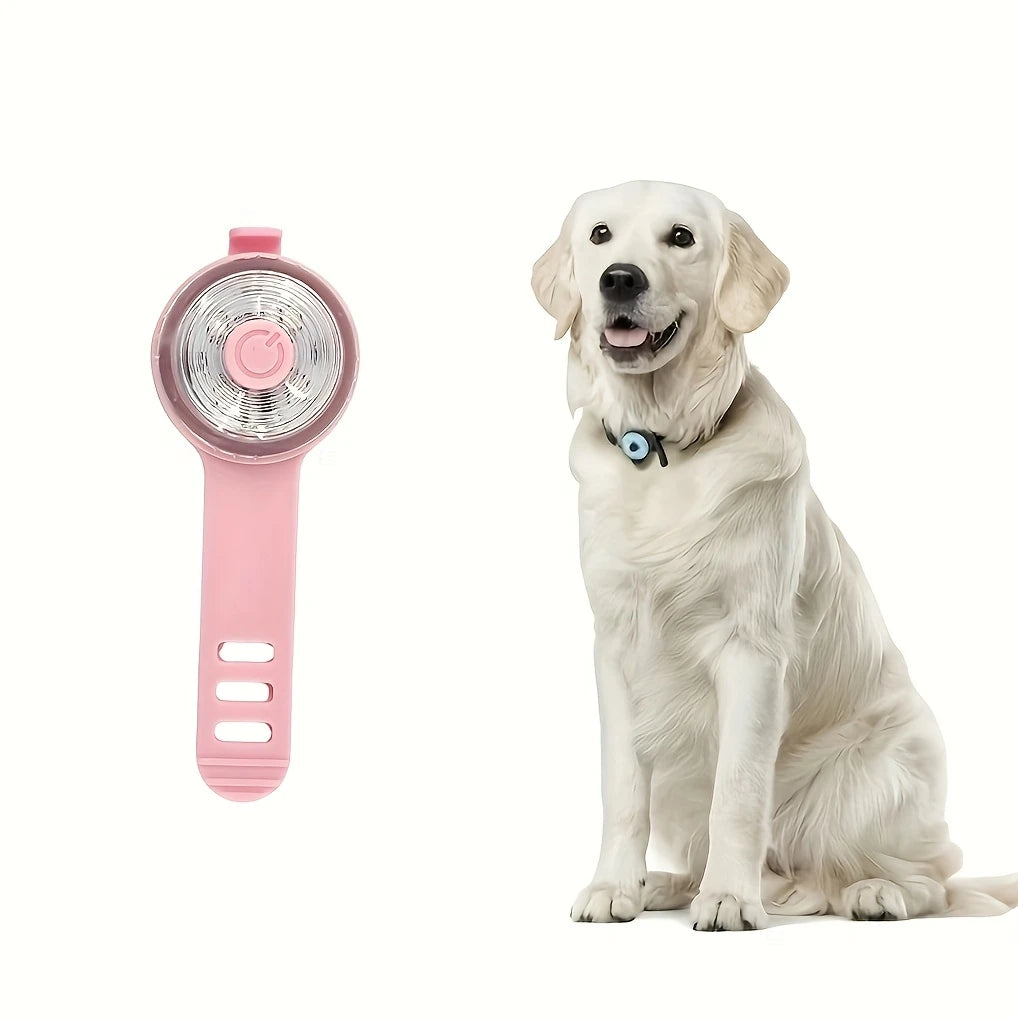 Lumière de sécurité LED pour collier – Accessoire personnalisable pour animaux de compagnie