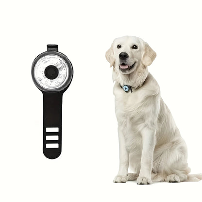 Lumière de sécurité LED pour collier – Accessoire personnalisable pour animaux de compagnie