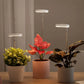 Lampe LED de Croissance pour Plantes d’Intérieur – Lumière Anneau à Spectre Complet pour Serres et Jardins Intérieurs