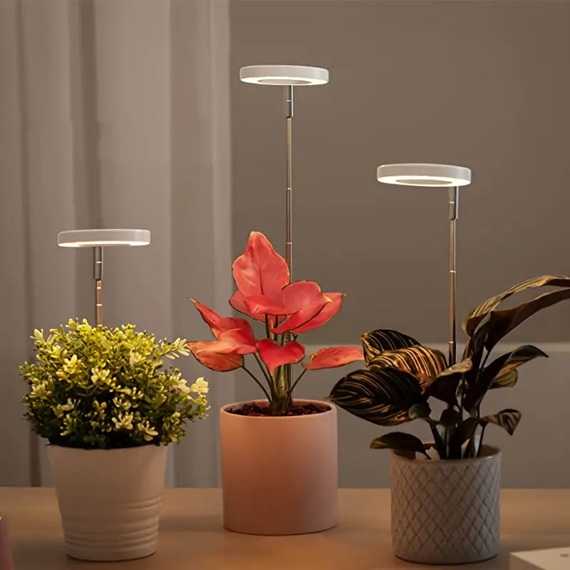 Lampe LED de Croissance pour Plantes d’Intérieur – Lumière Anneau à Spectre Complet pour Serres et Jardins Intérieurs