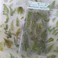 Stickers Fleurs Marguerites – Autocollants Transparents Naturels pour Papeterie, Scrapbooking, Journaling et DIY