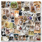 Autocollants Chats Amusants – Stickers Vinyle Humoristiques pour Ordinateur Portable, Tablette et Journal Décoratif
