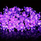 Guirlande Fleur LED Violette – Lumière Décorative Romantique pour Soirée, Mariage et Ambiance Cocooning