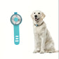 Lumière de sécurité LED pour collier – Accessoire personnalisable pour animaux de compagnie