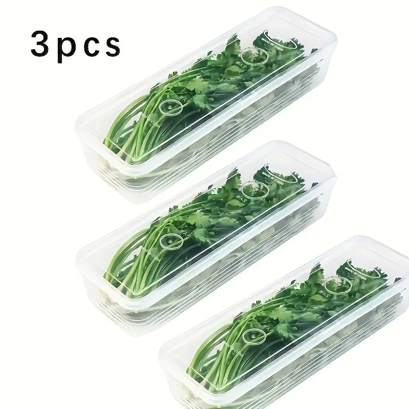 Boîte de Rangement Alimentaire Longue en Plastique – Conservation Fraîcheur pour Légumes et Herbes en Magasin