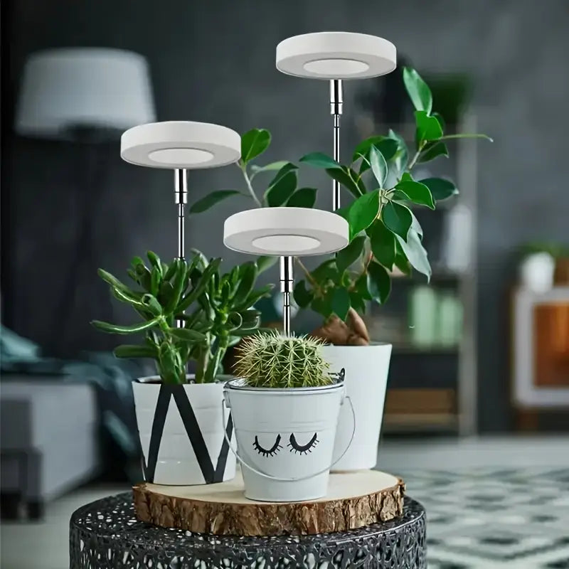 Lampe de Croissance LED à Spectre Complet pour Plantes – Éclairage Intelligent pour Jardin d’Intérieur