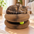 Griffoir Accordéon pour Chat avec Balle à Grelot – Jouet, Griffoir et Refuge 3 en 1