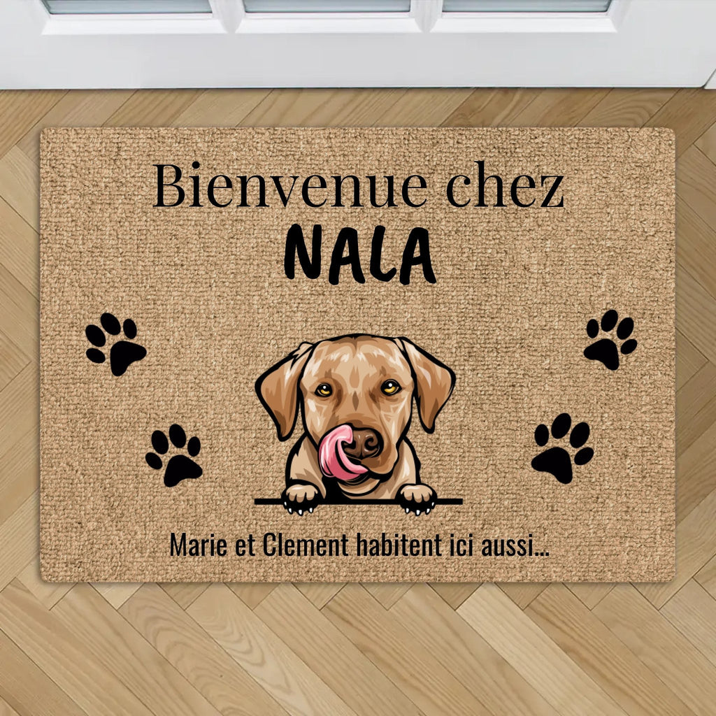 Paillasson personnalisé « Bienvenue chez » avec prénom et portrait d'animal