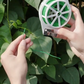 Fil de jardin avec coupe intégrée – Attache solide pour plantes, fleurs et arbustes